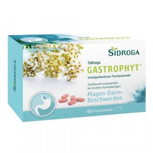 SIDROGA GastroPhyt 250 mg Filmtabletten